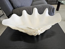 Shell Bowl