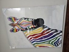 Colourful Zebra Canvas